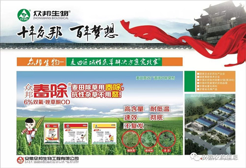 微信图片2_副本