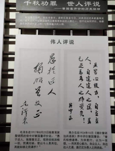 图片8_副本
