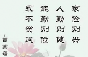 图片7